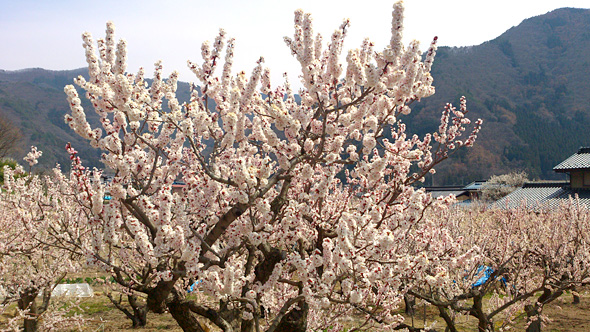 20140413-2.jpg