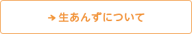 生あんずについて