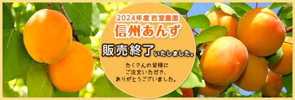 2023年度岩室農園　信州あんず予約受付中！