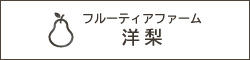 フルーティアファーム洋梨畑